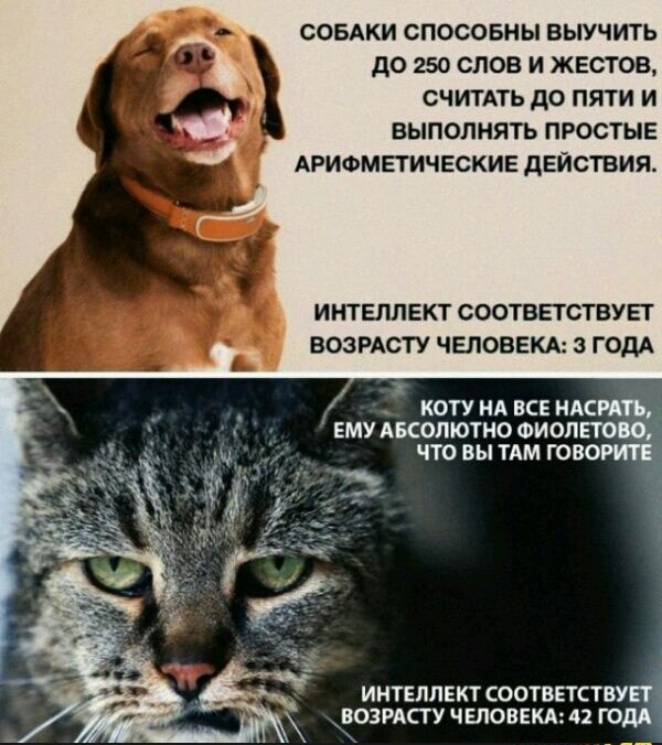 proxy.php?image=http%3A%2F%2Fs00.yaplakal.com%2Fpics%2Fpics_original%2F1%2F7%2F3%2F13346371.jpg&hash=48759dad5c737f5943217de50db7c740 | Рено Каптур клуб Россия | www.KAPTUR.club
