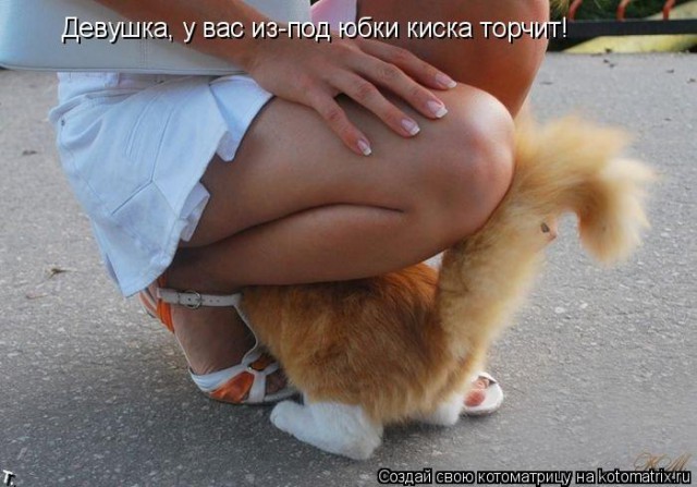 proxy.php?image=http%3A%2F%2Fs00.yaplakal.com%2Fpics%2Fpics_preview%2F1%2F1%2F2%2F13317211.jpg&hash=4a63337f8577cf39bf2c1247ada2858e | Рено Каптур клуб Россия | www.KAPTUR.club