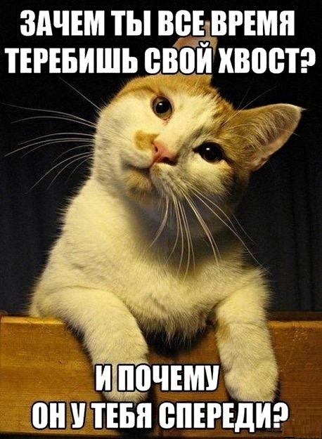 proxy.php?image=http%3A%2F%2Fs00.yaplakal.com%2Fpics%2Fpics_original%2F2%2F2%2F0%2F13693022.jpg&hash=4a93932fea47f6887b3189d4e0576618 | Рено Каптур клуб Россия | www.KAPTUR.club