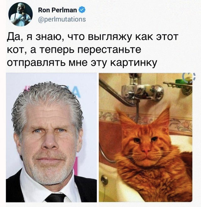proxy.php?image=http%3A%2F%2Fs00.yaplakal.com%2Fpics%2Fpics_preview%2F9%2F5%2F3%2F12365359.jpg&hash=4c37c1f445667f22fe580c0d8c355ba3 | Рено Каптур клуб Россия | www.KAPTUR.club