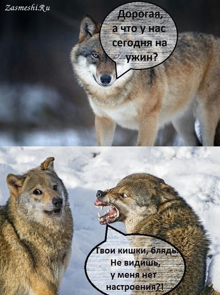 proxy.php?image=http%3A%2F%2Fs00.yaplakal.com%2Fpics%2Fpics_original%2F6%2F8%2F9%2F11111986.jpg&hash=4d82eb7fb4dd215a2815f6fca6bdcaf5 | Рено Каптур клуб Россия | www.KAPTUR.club