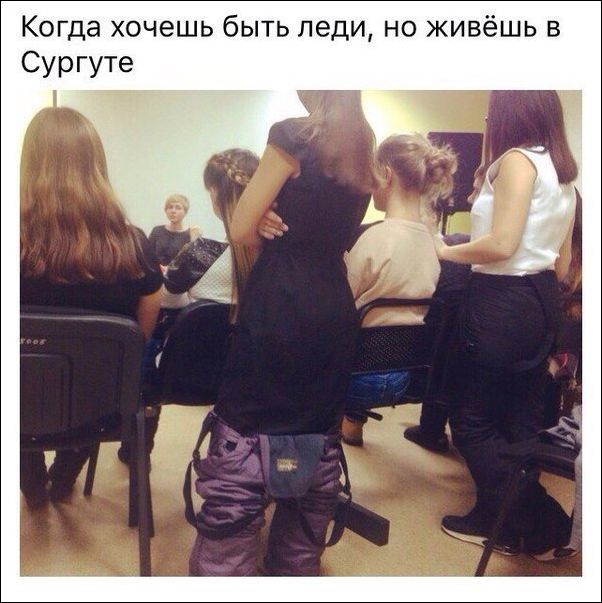 proxy.php?image=http%3A%2F%2Fwww.prikol.ru%2Fwp-content%2Fgallery%2Fdecember-2017%2Fkartinki-03122017-015.jpg&hash=4e1afb82623ad01b67770d92ac182771 | Рено Каптур клуб Россия | www.KAPTUR.club
