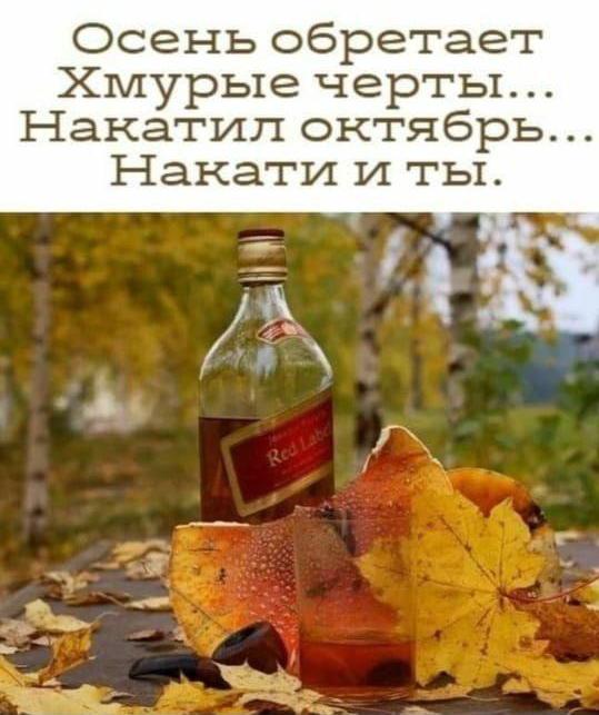 proxy.php?image=https%3A%2F%2Fi.ibb.co%2FJKmWBSG%2FIMG-20221007-WA0014.jpg&hash=4fa999606bc631b4ba917f664a9de532 | Рено Каптур клуб Россия | www.KAPTUR.club