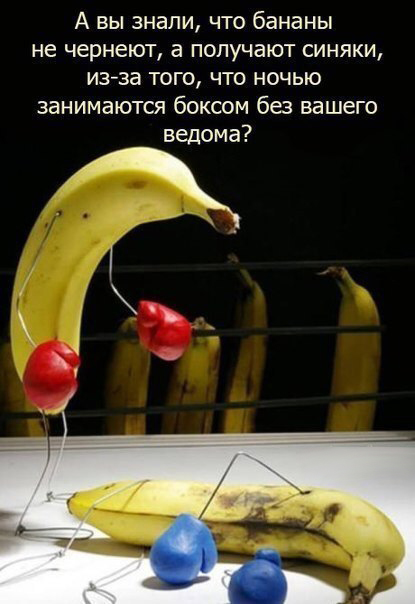 proxy.php?image=http%3A%2F%2Fs00.yaplakal.com%2Fpics%2Fpics_original%2F7%2F9%2F3%2F11538397.jpg&hash=50348db6c63fe36cb6cbd1a1c007fcef | Рено Каптур клуб Россия | www.KAPTUR.club