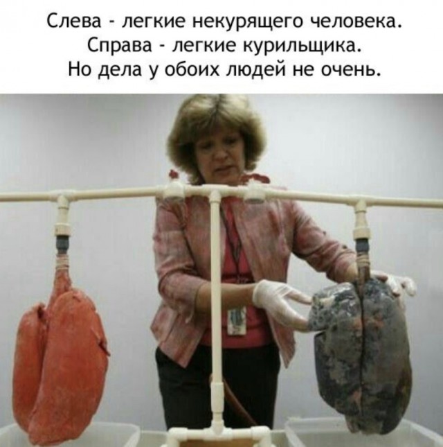 proxy.php?image=http%3A%2F%2Fs00.yaplakal.com%2Fpics%2Fpics_preview%2F0%2F3%2F2%2F12231230.jpg&hash=503d5568703b87feb5d347f2feece8a1 | Рено Каптур клуб Россия | www.KAPTUR.club