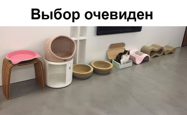 proxy.php?image=https%3A%2F%2Fsun1-20.userapi.com%2Fc855416%2Fv855416191%2F3ee59%2FFQ-6670UMmw.jpg&hash=544783483a8fc2beb7e78675ac21639d | Рено Каптур клуб Россия | www.KAPTUR.club