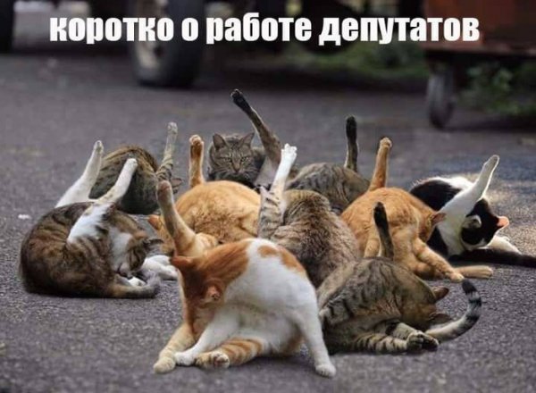 proxy.php?image=http%3A%2F%2Fs00.yaplakal.com%2Fpics%2Fpics_original%2F7%2F1%2F4%2F12218417.jpg&hash=5470d1ae5c6c1140206e7fa104581bc1 | Рено Каптур клуб Россия | www.KAPTUR.club