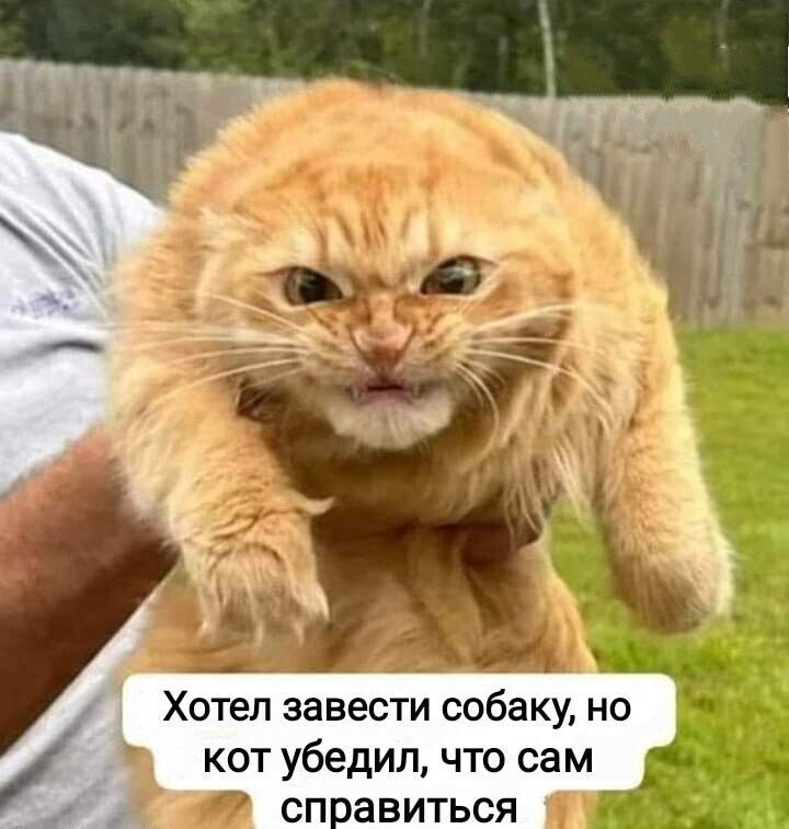 proxy.php?image=https%3A%2F%2Fi.ibb.co%2FF7tqkH8%2FXUAHun-Vn4i8.jpg&hash=56c3b0d0668f3becab159d992bbc256e | Рено Каптур клуб Россия | www.KAPTUR.club