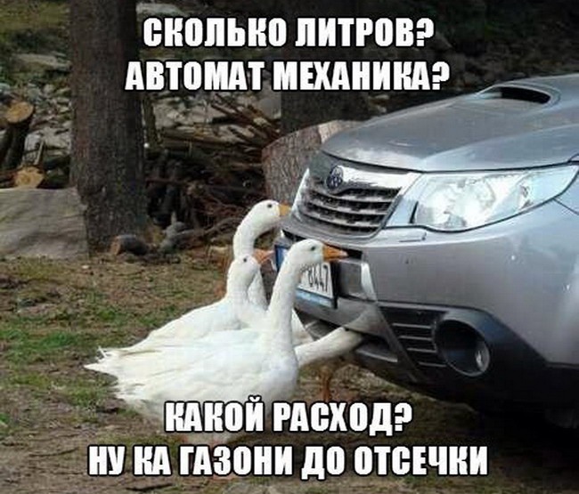 proxy.php?image=http%3A%2F%2Fdobrosos.ru%2Fwp-content%2Fuploads%2F2018%2F04%2FAvto-prikolyi-na-dobrosos-25.jpg&hash=5879ff4db054fa5fb4f98af2dc424292 | Рено Каптур клуб Россия | www.KAPTUR.club