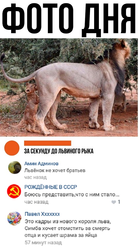 proxy.php?image=http%3A%2F%2Fs00.yaplakal.com%2Fpics%2Fpics_original%2F2%2F9%2F7%2F12364792.jpg&hash=589e9b925faffe27b599608f9208a211 | Рено Каптур клуб Россия | www.KAPTUR.club