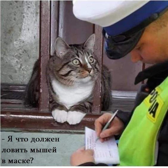 proxy.php?image=https%3A%2F%2Fsun9-35.userapi.com%2FGP_rilH7eeTdxyHqQmhetk-FBGpp6JXclV-BDA%2FcieORcy_4mU.jpg&hash=58f27f9e767a2333b6db481a479efa78 | Рено Каптур клуб Россия | www.KAPTUR.club