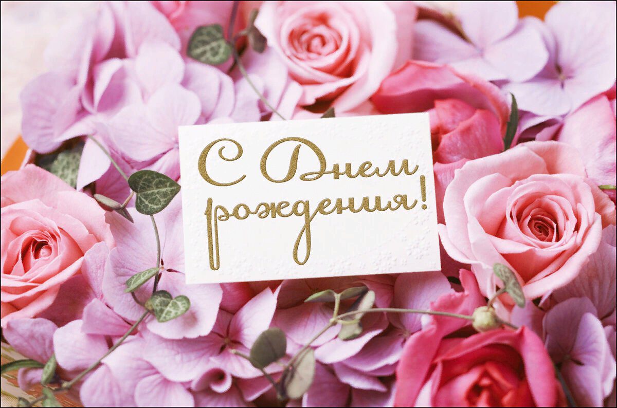 proxy.php?image=https%3A%2F%2Fkartinkived.ru%2Fwp-content%2Fuploads%2F2021%2F11%2Fotkrytka-s-dnem-rozhdeniya-na-czvetah.jpg&hash=5bb6524b8096bdc14476f8a1774bbe3e | Рено Каптур клуб Россия | www.KAPTUR.club