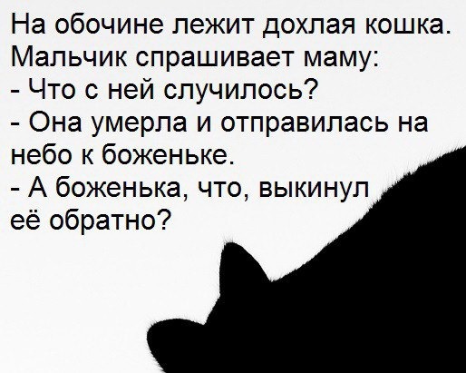 proxy.php?image=http%3A%2F%2Fdobrosos.ru%2Fwp-content%2Fuploads%2F2019%2F04%2Fsmeshnye-nadpisi-prikoly-nadpisyami-foto-046.jpg&hash=5cdb5aec3e864949d1e7b25b46331c68 | Рено Каптур клуб Россия | www.KAPTUR.club