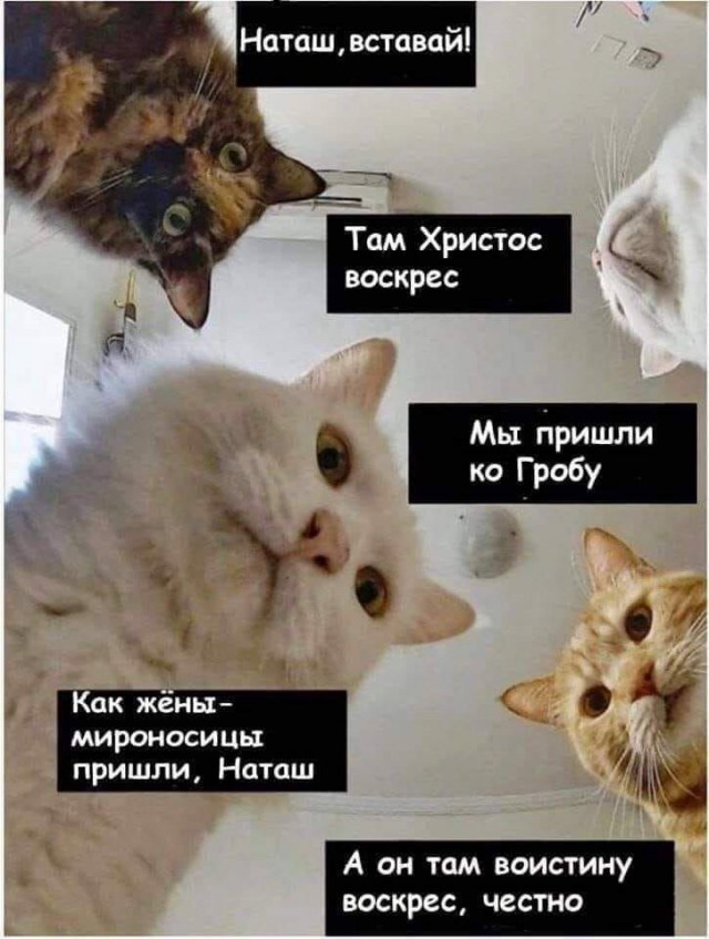 proxy.php?image=https%3A%2F%2Fs00.yaplakal.com%2Fpics%2Fpics_preview%2F7%2F5%2F6%2F14236657.jpg&hash=5dfa0f2b13ee0214379fdda127ae2352 | Рено Каптур клуб Россия | www.KAPTUR.club