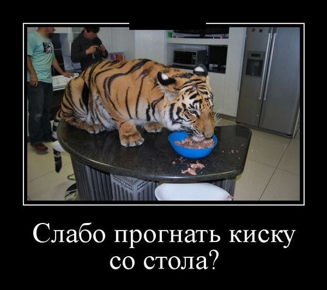 proxy.php?image=http%3A%2F%2Fs00.yaplakal.com%2Fpics%2Fpics_original%2F5%2F0%2F1%2F11400105.jpg&hash=5e351195944f5871bad0a23531c5840f | Рено Каптур клуб Россия | www.KAPTUR.club
