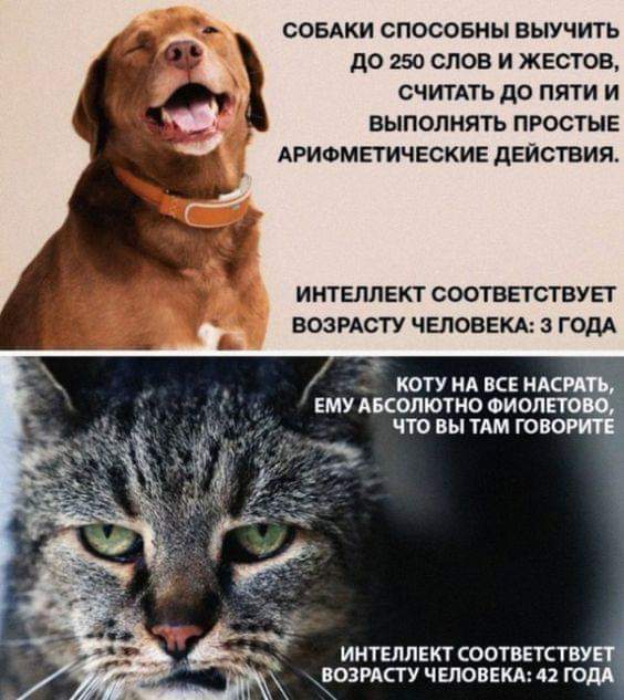 proxy.php?image=http%3A%2F%2Fs00.yaplakal.com%2Fpics%2Fpics_original%2F0%2F7%2F9%2F13464970.png&hash=5fc00fc6712a70680e53d34034d48ac6 | Рено Каптур клуб Россия | www.KAPTUR.club