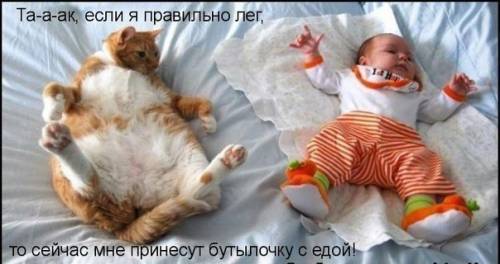 proxy.php?image=https%3A%2F%2Fxn--b1agaykvq.xn--p1ai%2Fphotopricoly%2F1%2F870402944.jpg&hash=5ffa1b9c54059ffc28c2577cecd6963d | Рено Каптур клуб Россия | www.KAPTUR.club
