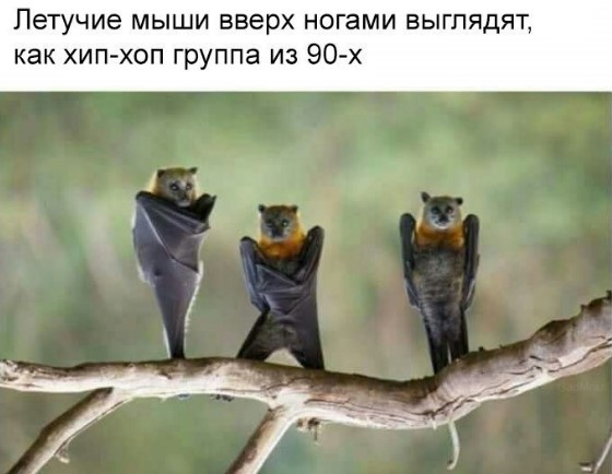 proxy.php?image=http%3A%2F%2Fs00.yaplakal.com%2Fpics%2Fpics_preview%2F1%2F9%2F8%2F9721891.jpg&hash=6005b28bd9c1b72f136f03943a440a4c | Рено Каптур клуб Россия | www.KAPTUR.club