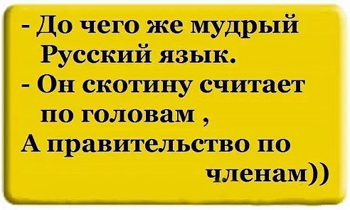 proxy.php?image=http%3A%2F%2Fdobrosos.ru%2Fwp-content%2Fuploads%2F2019%2F04%2Fsmeshnye-nadpisi-prikoly-nadpisyami-foto-016.jpg&hash=62926afac4d5dd9da4c8d131d9476dcb | Рено Каптур клуб Россия | www.KAPTUR.club