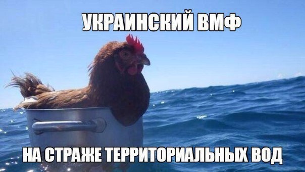 proxy.php?image=http%3A%2F%2Fs00.yaplakal.com%2Fpics%2Fpics_original%2F6%2F2%2F6%2F12286626.jpg&hash=6394affa3322f97ce37babf3ffe144da | Рено Каптур клуб Россия | www.KAPTUR.club