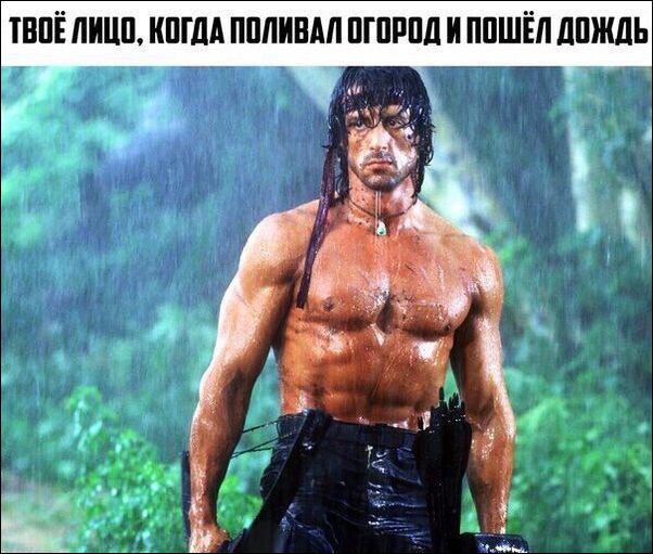 proxy.php?image=http%3A%2F%2Fwww.prikol.ru%2Fwp-content%2Fuploads%2F2018%2F07%2Fkartinki-08072018-001.jpg&hash=64835bcb3f0dda7ce1f3bf78483055b5 | Рено Каптур клуб Россия | www.KAPTUR.club