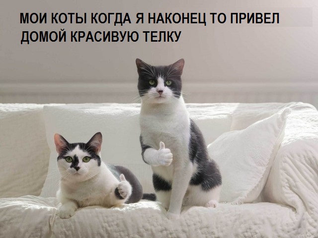 proxy.php?image=http%3A%2F%2Fs00.yaplakal.com%2Fpics%2Fpics_original%2F2%2F3%2F0%2F13465032.jpg&hash=64bd87358b84b332d34218e46fc92349 | Рено Каптур клуб Россия | www.KAPTUR.club