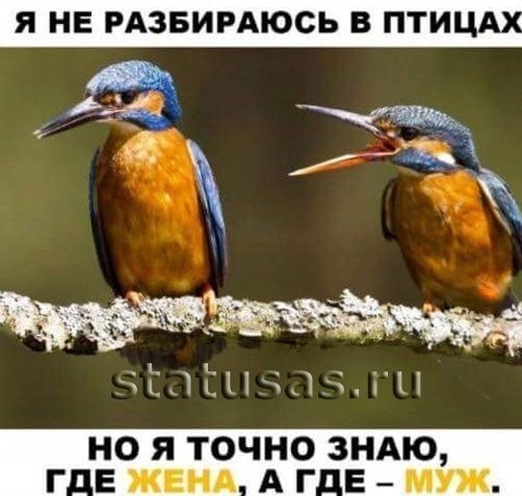 proxy.php?image=http%3A%2F%2Fs00.yaplakal.com%2Fpics%2Fpics_original%2F2%2F4%2F8%2F12280842.jpg&hash=68eed5255e8d9960f1573ca5dff51032 | Рено Каптур клуб Россия | www.KAPTUR.club
