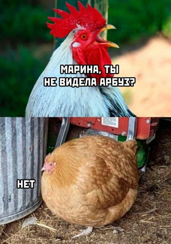 proxy.php?image=https%3A%2F%2Fi.postimg.cc%2Fsgnry74q%2FIMG-20250705-WA0057.jpg&hash=69c503afe2e9eefb76430a3864d56b16 | Рено Каптур клуб Россия | www.KAPTUR.club