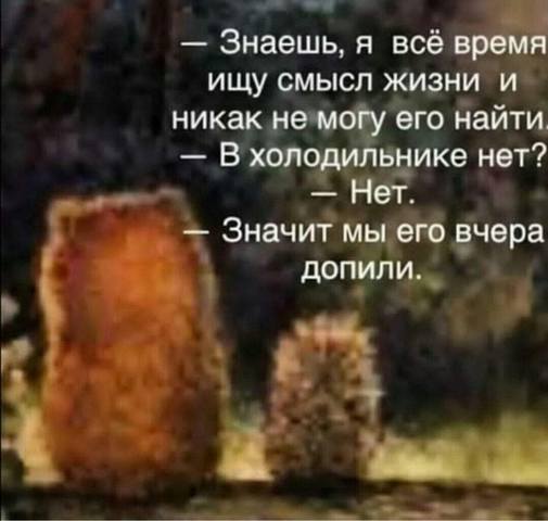 proxy.php?image=http%3A%2F%2Fimages.vfl.ru%2Fii%2F1632241438%2F35d08a64%2F35951533_m.jpg&hash=6b40edb383c7d8bbec9437d90ab17b4c | Рено Каптур клуб Россия | www.KAPTUR.club