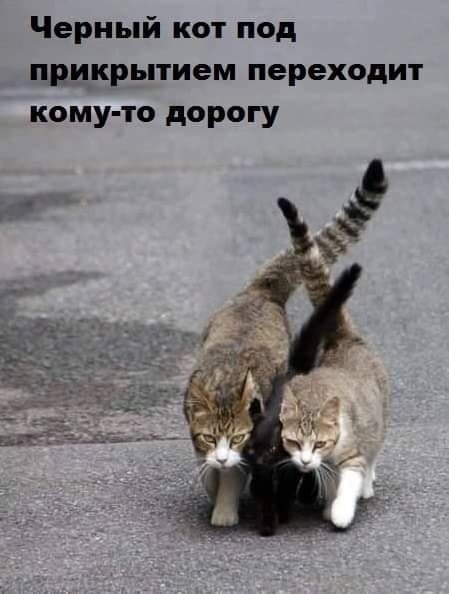 proxy.php?image=https%3A%2F%2Fsun1-93.userapi.com%2Fc857128%2Fv857128498%2F1a4a8c%2FFTPPPXqyvjQ.jpg&hash=6c30a8fc522b856ae68050d52449362c | Рено Каптур клуб Россия | www.KAPTUR.club