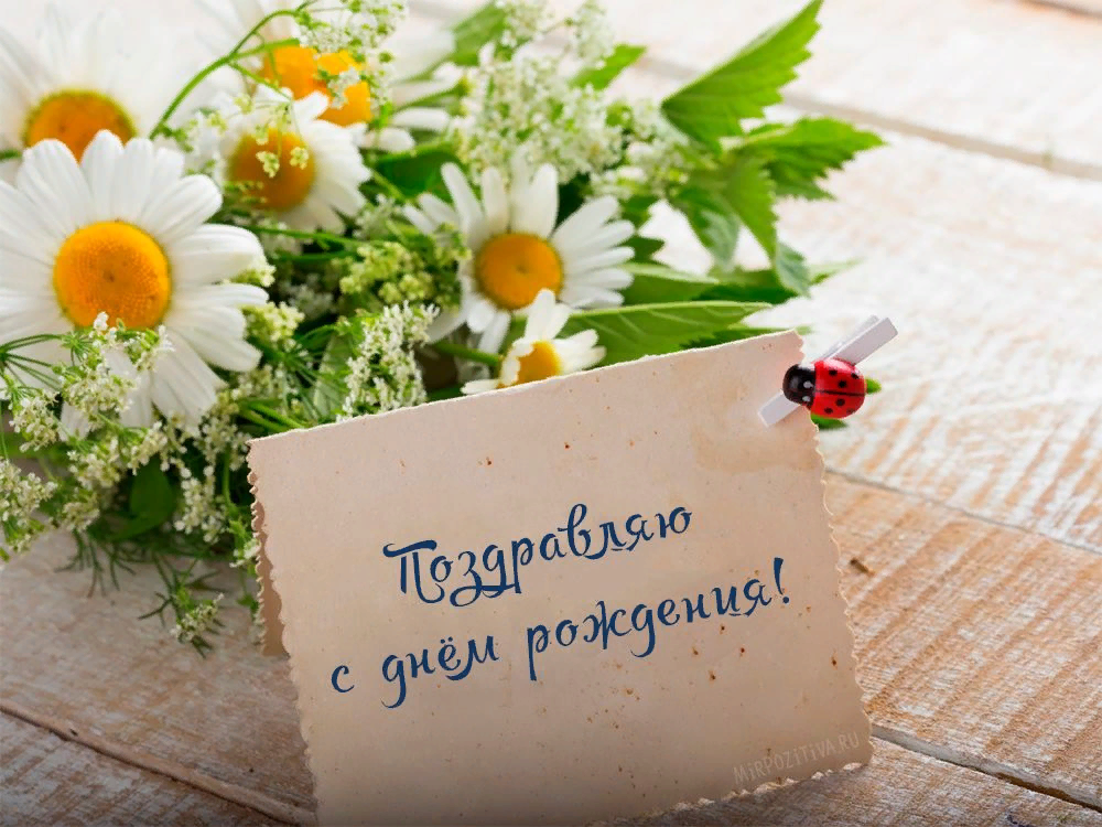 proxy.php?image=https%3A%2F%2Fpic.rutubelist.ru%2Fvideo%2Fb1%2F26%2Fb126e021f13321bef44ec6c951af39bb.png&hash=6e7b3ec028ffd4af58c789fde97d4b48 | Рено Каптур клуб Россия | www.KAPTUR.club