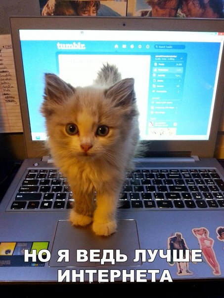 proxy.php?image=https%3A%2F%2Fpp.userapi.com%2Fc543103%2Fv543103342%2F3473c%2FqdMA55pQrb8.jpg&hash=6fe50ef7bb9f63c24d7d44371fca89ab | Рено Каптур клуб Россия | www.KAPTUR.club