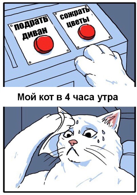 proxy.php?image=http%3A%2F%2Fdobrosos.ru%2Fwp-content%2Fuploads%2F2020%2F03%2Fprikoly-s-nadpisyami-21.jpg&hash=70d3598b398894adbe68a43ceb28a099 | Рено Каптур клуб Россия | www.KAPTUR.club