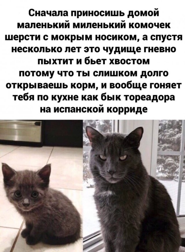 proxy.php?image=https%3A%2F%2Fs00.yaplakal.com%2Fpics%2Fpics_original%2F5%2F8%2F7%2F13989785.jpg&hash=71cd7d38a1dfb943e3adaff050d9d458 | Рено Каптур клуб Россия | www.KAPTUR.club