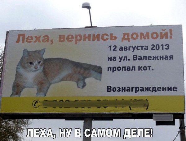 proxy.php?image=http%3A%2F%2Fdobrosos.ru%2Fwp-content%2Fuploads%2F2019%2F04%2Fsmeshnye-nadpisi-prikoly-nadpisyami-foto-102.jpg&hash=75bd455fc405666e3eb8411f765aa56a | Рено Каптур клуб Россия | www.KAPTUR.club