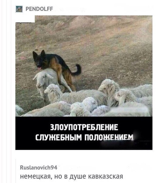 proxy.php?image=http%3A%2F%2Fs00.yaplakal.com%2Fpics%2Fpics_original%2F8%2F3%2F9%2F11477938.jpg&hash=76f97fc5a155423741374347beeaa26b | Рено Каптур клуб Россия | www.KAPTUR.club