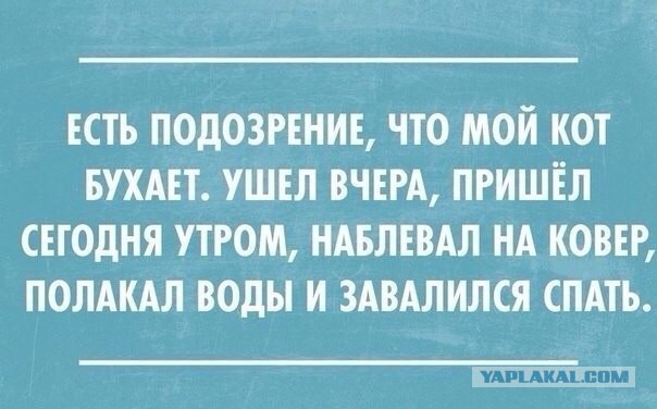 proxy.php?image=http%3A%2F%2Fs00.yaplakal.com%2Fpics%2Fpics_original%2F2%2F7%2F5%2F11454572.jpg&hash=77ddd61f379c281bdf44e01287563cb8 | Рено Каптур клуб Россия | www.KAPTUR.club