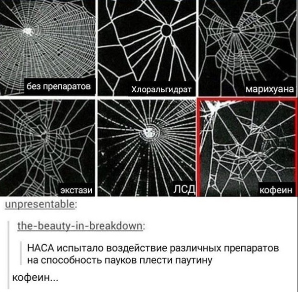 proxy.php?image=https%3A%2F%2Fsun1-28.userapi.com%2Fc850532%2Fv850532667%2F10e636%2Fyx2rcLAj8yI.jpg&hash=784f89cd394355c5109c06dbdb928d78 | Рено Каптур клуб Россия | www.KAPTUR.club