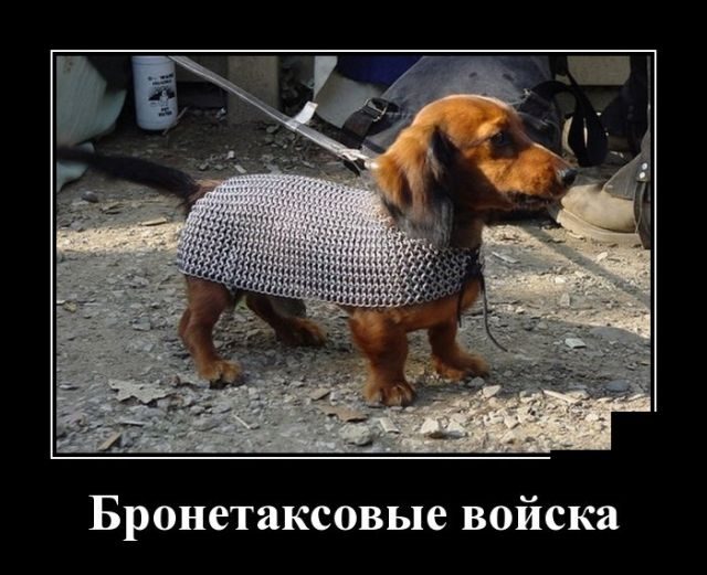 proxy.php?image=https%3A%2F%2Fbipbap.ru%2Fwp-content%2Fuploads%2F2018%2F02%2F1519596913_05-640x521.jpg&hash=79fd18d8a1985be29c97503f2eb3ffb9 | Рено Каптур клуб Россия | www.KAPTUR.club