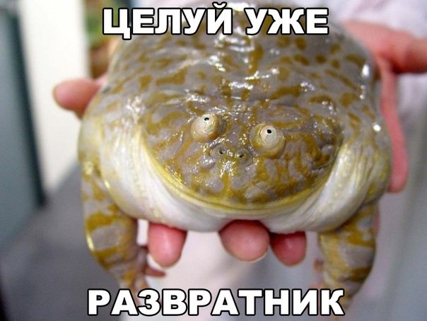 proxy.php?image=http%3A%2F%2Fs00.yaplakal.com%2Fpics%2Fpics_original%2F6%2F6%2F7%2F9819766.jpg&hash=7ad58383a191dbccf6a7e3df6c534212 | Рено Каптур клуб Россия | www.KAPTUR.club