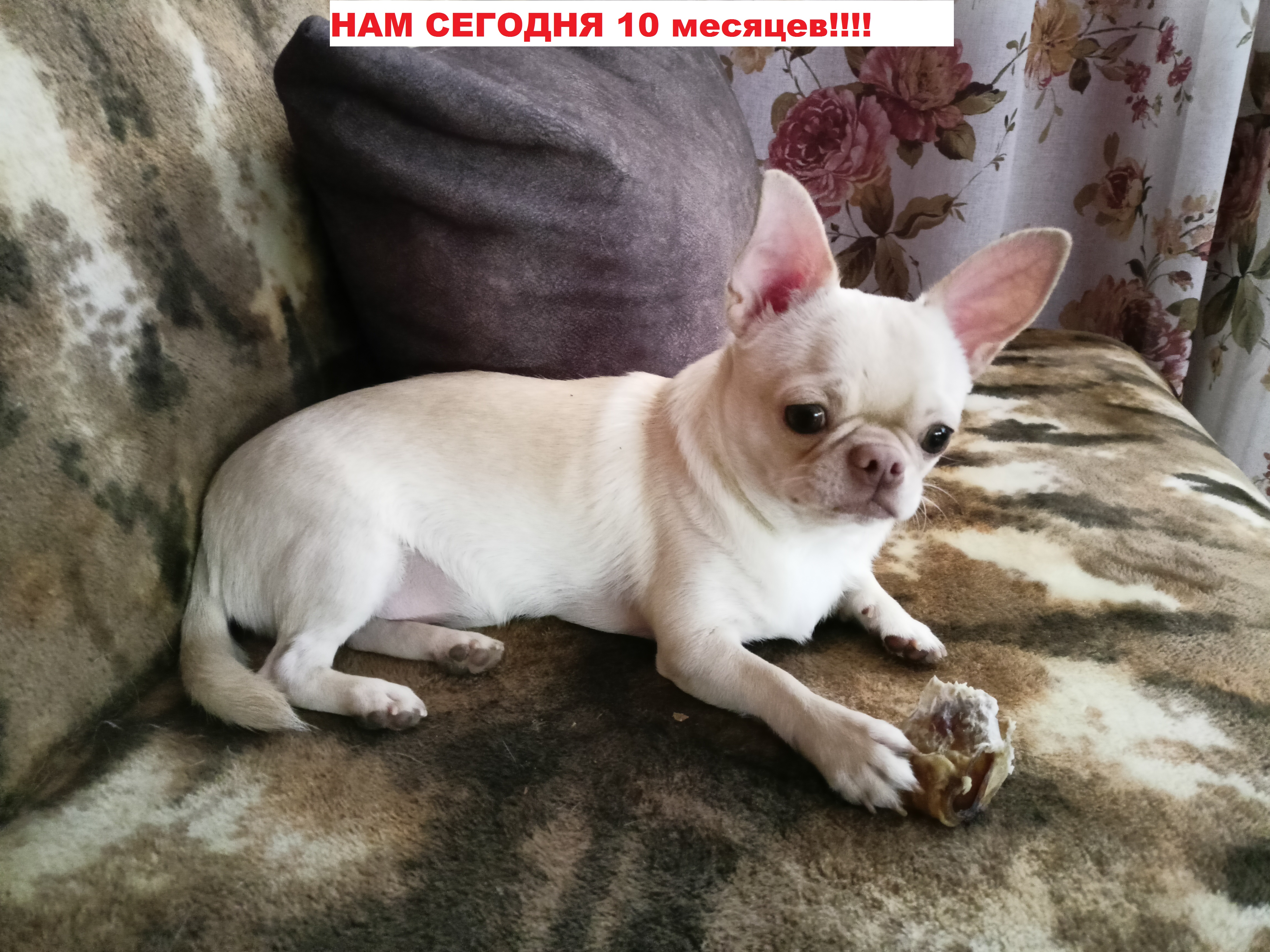 proxy.php?image=https%3A%2F%2Fi.ibb.co%2FXCj4jfq%2FIMG20221204133413.jpg&hash=7af40ff55e2397b4a31291fb31ac7c90 | Рено Каптур клуб Россия | www.KAPTUR.club