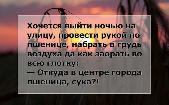 proxy.php?image=http%3A%2F%2Fs00.yaplakal.com%2Fpics%2Fpics_preview%2F2%2F2%2F4%2F12289422.jpg&hash=7dc787d7c761671c67186ee7b8c5c060 | Рено Каптур клуб Россия | www.KAPTUR.club
