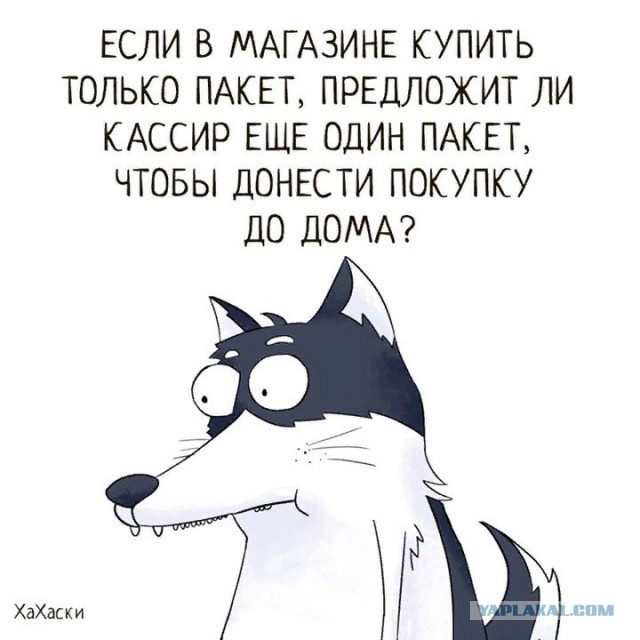 proxy.php?image=http%3A%2F%2Fs00.yaplakal.com%2Fpics%2Fpics_preview%2F9%2F7%2F2%2F12380279.jpg&hash=7eb0ddfb00e9637b4d17c30f737df380 | Рено Каптур клуб Россия | www.KAPTUR.club