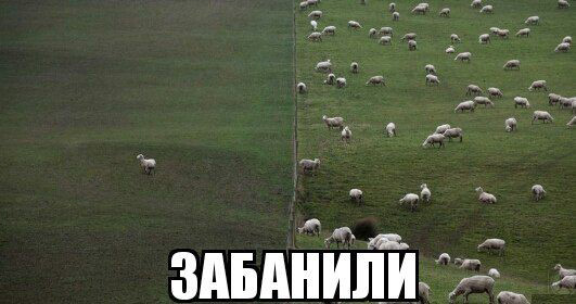 proxy.php?image=https%3A%2F%2Fpozitiv365.ru%2Fwp-content%2Fuploads%2F2017%2F11%2Fkartinky-prokoly28.jpg&hash=7f27021b095c6ebc81a234f8f18317f0 | Рено Каптур клуб Россия | www.KAPTUR.club