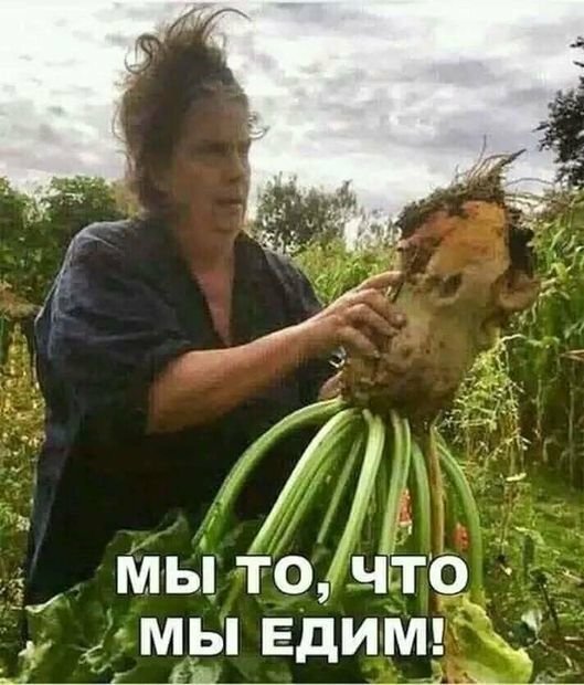proxy.php?image=https%3A%2F%2Fcdn.fishki.net%2Fupload%2Fpost%2F2019%2F09%2F09%2F3080725%2F2019-06-03-22-53-3715.jpg&hash=84c3acc4d2005dca70d5fa6f0db33169 | Рено Каптур клуб Россия | www.KAPTUR.club