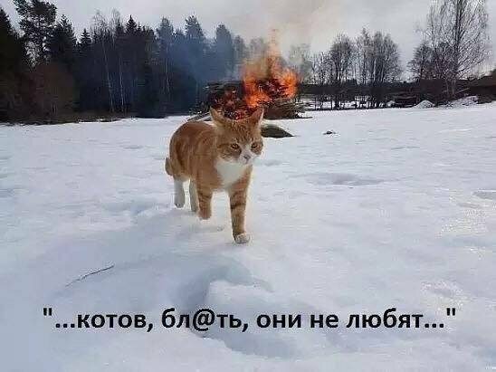 proxy.php?image=http%3A%2F%2Fs00.yaplakal.com%2Fpics%2Fpics_original%2F4%2F4%2F6%2F13381644.jpg&hash=8598787bb39b53e441a8e37a43f28f5f | Рено Каптур клуб Россия | www.KAPTUR.club