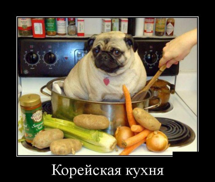 proxy.php?image=https%3A%2F%2Fklopik.com%2Fuploads%2Fposts%2F2014-07%2F1405282932_1404847272_demotivatory_10.jpg&hash=85f5957d2c53f9db77e01f6d09b42427 | Рено Каптур клуб Россия | www.KAPTUR.club