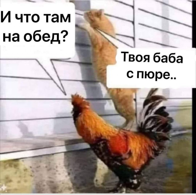 proxy.php?image=https%3A%2F%2Fi.postimg.cc%2Fx824ZBmt%2FIMG-20250507-WA0066.jpg&hash=8669b1de363b9b5e1cb0a8d1a3905311 | Рено Каптур клуб Россия | www.KAPTUR.club
