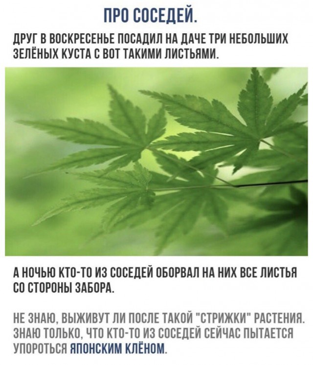 proxy.php?image=http%3A%2F%2Fs00.yaplakal.com%2Fpics%2Fpics_preview%2F8%2F2%2F2%2F12228228.jpg&hash=86903d96292c80f37b8f8863af6a0f6e | Рено Каптур клуб Россия | www.KAPTUR.club
