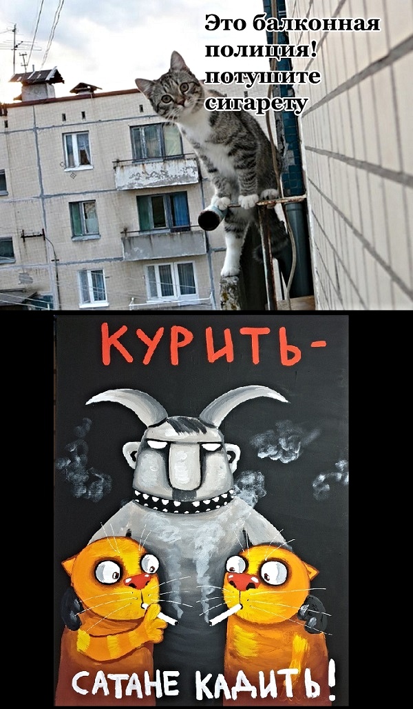 proxy.php?image=http%3A%2F%2Fs00.yaplakal.com%2Fpics%2Fpics_original%2F4%2F3%2F6%2F13502634.jpg&hash=88c228d02cd559acd845474da3cd849a | Рено Каптур клуб Россия | www.KAPTUR.club